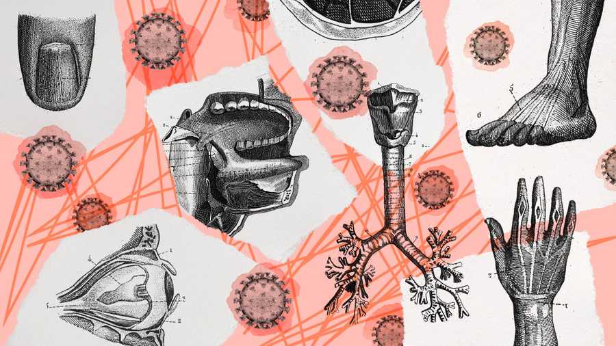 New corona effects on the body